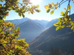 Camping Pas Cher vous présente avec son site Officiel campingpascher.fr, le Camping Du Lac classé 4 étoiles, situé sur la commune de Foix dans le département Ariège (Midi Pyrénées) en France. Le camping Du Lac, vous présente un hébergement de type bungalow toilé de 16 m². Le camping Du Lac vous propose du sam. 27 juin au sam. 04 juillet 2026, en promotion à -20% pour 7 nuits à 291,20 € au lieu de 364,0 € soit une Économie de 72,80 €. Cette location propose 71 dates différentes pour réserver votre séjour. Découvrez également les 8 autres gammes d'hébergements du camping. Les Avis clients pour le Camping Du Lac sont de 7 sur 10. Rivière, Piscine extérieure, Animations familiales, Aire de jeux enfants, Pétanque, Bar, Dépôt de pain, Restaurant,... En savoir plus : cliquez-ICI.