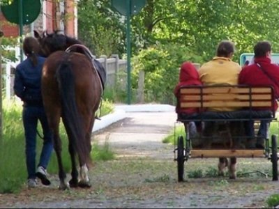 camping La Minière photo 8