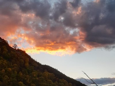 Cliquez pour découvrir toutes les photos de l'ÉTABLISSEMENT ! camping Les Jardins D'Estavar photo 28