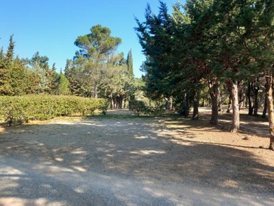 Cliquez pour découvrir toutes les photos de l'ÉTABLISSEMENT ! établissement Le Pinada photo 15