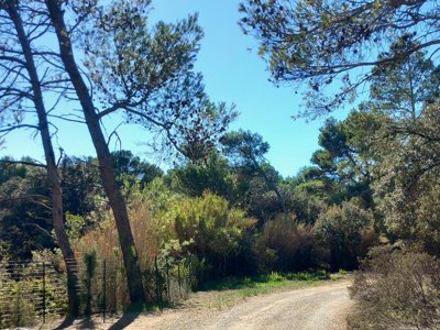 Cliquez pour découvrir toutes les photos de l'ÉTABLISSEMENT ! établissement Le Pinada photo 19