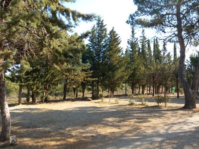 Cliquez pour découvrir toutes les photos de l'ÉTABLISSEMENT ! établissement Le Pinada photo 22