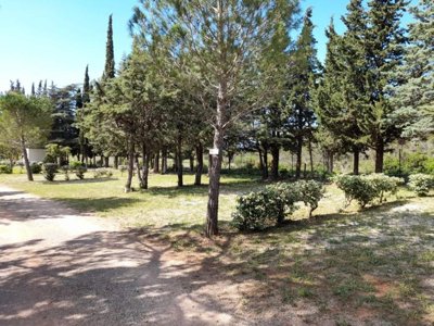 Cliquez pour découvrir toutes les photos de l'ÉTABLISSEMENT ! établissement Le Pinada photo 23