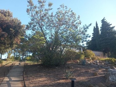 Cliquez pour découvrir toutes les photos de l'ÉTABLISSEMENT ! établissement Le Pinada photo 25