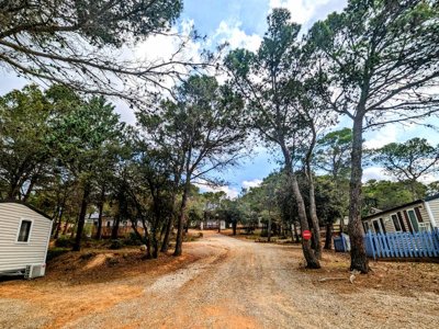 Cliquez pour découvrir toutes les photos de l'ÉTABLISSEMENT ! établissement Le Pinada photo 7