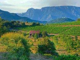 Camping Pas Cher vous présente avec son site Officiel campingpascher.fr, le Camping Le Pinada classé 3 étoiles, situé sur la commune de Fabrezan dans le département Aude (Languedoc Roussillon) en France. Le camping Le Pinada, vous présente un hébergement de type mobil-home de 24 m² pour 1 personne avec climatisation. Le camping Le Pinada vous proposeun séjour PAS CHER avec une REMISEdu sam. 04 avril au sam. 11 avril 2026, en promotion à -35% pour 7 nuits à 319 € au lieu de 490,77 € soit une Économie de 171,77 €. Cette location propose 71 dates différentes pour réserver votre séjour. Découvrez également les 10 autres gammes d'hébergements du camping. Les Avis clients pour le Camping Le Pinada sont excellents avec une note moyenne de 8 sur 10. LacMerRivière, Piscine extérieure, Animation ados, Animation enfants, Animations familiales, Aire de jeux enfants, Baby-foot, Flipper, Ping-pong, Plongée, Pétanque, Sports nautiques, Terrain de beach-volley, Terrain multisports, Bar, Bureau de tabac, Dépôt de pain, Restaurant, Station-service, Supermarché, Épicerie,... En savoir plus : cliquez-ICI.