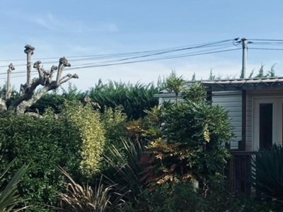 Cliquez pour découvrir toutes les photos de l'HÉBERGEMENT ! mobil-home - Les Catalpas photo 6