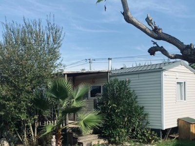 Cliquez pour découvrir toutes les photos de l'HÉBERGEMENT ! mobil-home - Les Catalpas photo 7