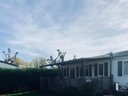 Cliquez pour découvrir toutes les photos de l'HÉBERGEMENT ! mobil-home - camping Les Catalpas photo 8