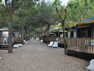 établissement La Masseria photo 27