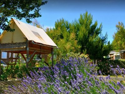 camping Domaine De La Palme photo 6