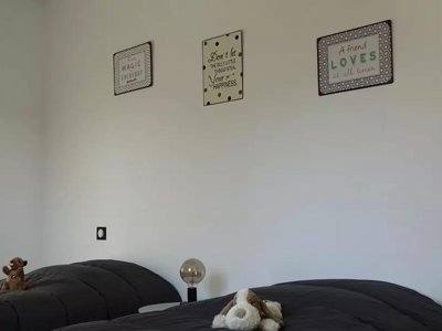 appartement - Kersentic photo 5