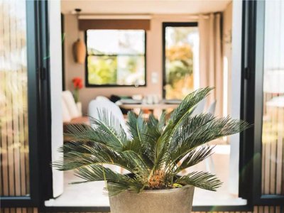 Cliquez pour découvrir toutes les photos de l'HÉBERGEMENT ! mobil-home - Kersentic photo 4
