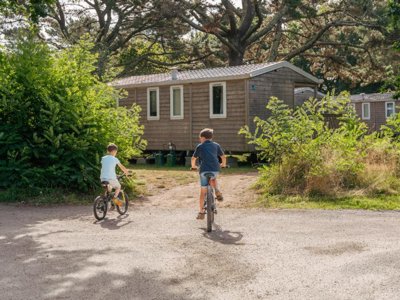 Cliquez pour découvrir toutes les photos de l'HÉBERGEMENT ! mobil-home - FLOWER Le Vorlen photo 2