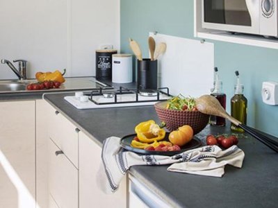 Cliquez pour découvrir toutes les photos de l'HÉBERGEMENT ! mobil-home - La Pierre Verte photo 4