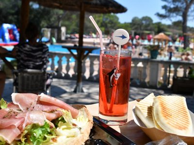 Cliquez pour découvrir toutes les photos de l'ÉTABLISSEMENT ! camping La Pierre Verte photo 21