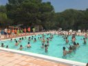 Cliquez pour découvrir toutes les photos de l'ÉTABLISSEMENT ! camping La Pierre Verte photo 8