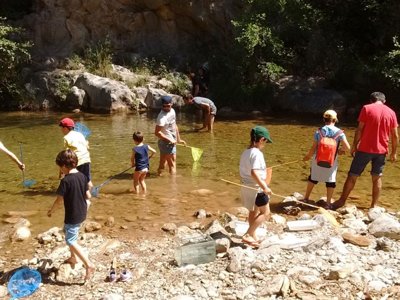 camping TAIGA Bassegoda Park Albanya photo 14