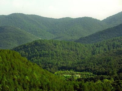 camping TAIGA Bassegoda Park Albanya photo 23