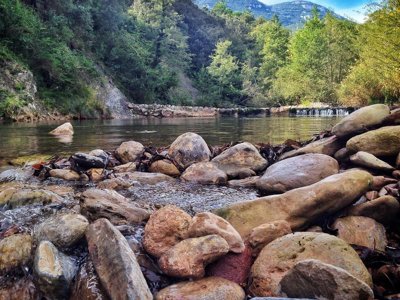 camping TAIGA Bassegoda Park Albanya photo 30