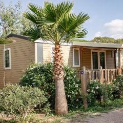 Camping Pas Cher vous présente avec son site Officiel campingpascher.fr, le Camping Site De Gorge Vent classé 3 étoiles, situé sur la commune de Fréjus dans le département Var (Provence Alpes Côte D'azur) en France. Le camping Site De Gorge Vent, vous présente un hébergement de type mobil-home de 30 m² pour 6 personnes avec climatisation et télévision. Le camping Site De Gorge Vent vous propose du sam. 02 mai au sam. 09 mai 2026 pour 7 nuits à 700€. Cette location propose 97 dates différentes pour réserver votre séjour. Découvrez également les 7 autres gammes d'hébergements du camping. Les Avis clients pour le Camping Site De Gorge Vent sont excellents avec une note moyenne de 8 sur 10. Mer, Piscine extérieure, Animations familiales, Club ados, Club enfants, Aire de jeux enfants, Cyclisme, Jet-ski, Parcours sportif, Ping-pong, Plongée, Pétanque, Randonnée, Structure gonflable enfants, Terrain de badminton, Terrain de volley-ball, Bar, Dépôt de pain, Plats à emporter, Restaurant, Snack/Bar, Supermarché,... En savoir plus : cliquez-ICI.