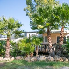 Camping Pas Cher vous présente avec son site Officiel campingpascher.fr, le Camping Site De Gorge Vent classé 3 étoiles, situé sur la commune de Fréjus dans le département Var (Provence Alpes Côte D'azur) en France. Le camping Site De Gorge Vent, vous présente un hébergement de type mobil-home de 38 m² pour 8 personnes avec climatisation et télévision. Le camping Site De Gorge Vent vous propose du sam. 02 mai au sam. 09 mai 2026 pour 7 nuits à 840€. Cette location propose 97 dates différentes pour réserver votre séjour. Découvrez également les 7 autres gammes d'hébergements du camping. Les Avis clients pour le Camping Site De Gorge Vent sont excellents avec une note moyenne de 8 sur 10. Mer, Piscine extérieure, Animations familiales, Club ados, Club enfants, Aire de jeux enfants, Cyclisme, Jet-ski, Parcours sportif, Ping-pong, Plongée, Pétanque, Randonnée, Structure gonflable enfants, Terrain de badminton, Terrain de volley-ball, Bar, Dépôt de pain, Plats à emporter, Restaurant, Snack/Bar, Supermarché,... En savoir plus : cliquez-ICI.