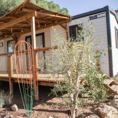 Camping Pas Cher vous présente avec son site Officiel campingpascher.fr, le Camping Site De Gorge Vent classé 3 étoiles, situé sur la commune de Fréjus dans le département Var (Provence Alpes Côte D'azur) en France. Le camping Site De Gorge Vent, vous présente un hébergement de type mobil-home de 36 m² pour 6 personnes avec climatisation et télévision. Le camping Site De Gorge Vent vous propose du sam. 02 mai au sam. 09 mai 2026 pour 7 nuits à 770€. Cette location propose 97 dates différentes pour réserver votre séjour. Découvrez également les 7 autres gammes d'hébergements du camping. Les Avis clients pour le Camping Site De Gorge Vent sont excellents avec une note moyenne de 8 sur 10. Mer, Piscine extérieure, Animations familiales, Club ados, Club enfants, Aire de jeux enfants, Cyclisme, Jet-ski, Parcours sportif, Ping-pong, Plongée, Pétanque, Randonnée, Structure gonflable enfants, Terrain de badminton, Terrain de volley-ball, Bar, Dépôt de pain, Plats à emporter, Restaurant, Snack/Bar, Supermarché,... En savoir plus : cliquez-ICI.