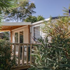 Camping Pas Cher vous présente avec son site Officiel campingpascher.fr, le Camping Site De Gorge Vent classé 3 étoiles, situé sur la commune de Fréjus dans le département Var (Provence Alpes Côte D'azur) en France. Le camping Site De Gorge Vent, vous présente un hébergement de type mobil-home de 17 m² pour 2 personnes avec climatisation et télévision. Le camping Site De Gorge Vent vous propose du sam. 02 mai au sam. 09 mai 2026 pour 7 nuits à 560€. Cette location propose 97 dates différentes pour réserver votre séjour. Découvrez également les 7 autres gammes d'hébergements du camping. Les Avis clients pour le Camping Site De Gorge Vent sont excellents avec une note moyenne de 8 sur 10. Mer, Piscine extérieure, Animations familiales, Club ados, Club enfants, Aire de jeux enfants, Cyclisme, Jet-ski, Parcours sportif, Ping-pong, Plongée, Pétanque, Randonnée, Structure gonflable enfants, Terrain de badminton, Terrain de volley-ball, Bar, Dépôt de pain, Plats à emporter, Restaurant, Snack/Bar, Supermarché,... En savoir plus : cliquez-ICI.