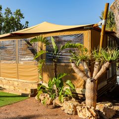 Camping Pas Cher vous présente avec son site Officiel campingpascher.fr, le Camping Site De Gorge Vent classé 3 étoiles, situé sur la commune de Fréjus dans le département Var (Provence Alpes Côte D'azur) en France. Le camping Site De Gorge Vent, vous présente un hébergement de type bungalow toilé de 35 m² pour 5 personnes avec climatisation et télévision. Le camping Site De Gorge Vent vous propose du sam. 02 mai au sam. 09 mai 2026 pour 7 nuits à 630€. Cette location propose 97 dates différentes pour réserver votre séjour. Découvrez également les 7 autres gammes d'hébergements du camping. Les Avis clients pour le Camping Site De Gorge Vent sont excellents avec une note moyenne de 8 sur 10. Mer, Piscine extérieure, Animations familiales, Club ados, Club enfants, Aire de jeux enfants, Cyclisme, Jet-ski, Parcours sportif, Ping-pong, Plongée, Pétanque, Randonnée, Structure gonflable enfants, Terrain de badminton, Terrain de volley-ball, Bar, Dépôt de pain, Plats à emporter, Restaurant, Snack/Bar, Supermarché,... En savoir plus : cliquez-ICI.