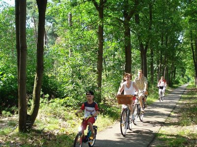 établissement Les Amandiers photo 30
