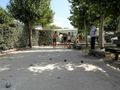 Cliquez pour découvrir toutes les photos de l'ÉTABLISSEMENT ! établissement Le Maine photo 5