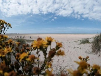 Cliquez pour découvrir toutes les photos de l'ÉTABLISSEMENT ! camping Des Dunes photo 15