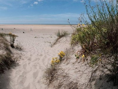 Cliquez pour découvrir toutes les photos de l'ÉTABLISSEMENT ! camping Des Dunes photo 23