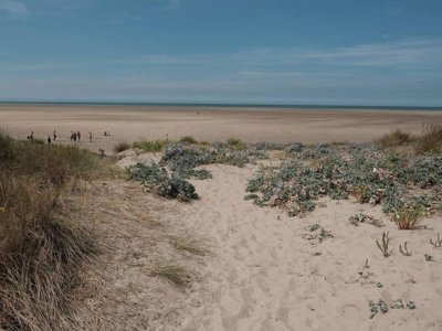 Cliquez pour découvrir toutes les photos de l'ÉTABLISSEMENT ! camping Des Dunes photo 24