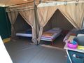 Cliquez pour découvrir toutes les photos de l'HÉBERGEMENT ! bungalow toilé - établissement Des Etangs photo 4