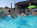 Cliquez pour découvrir toutes les photos de l'ÉTABLISSEMENT ! établissement Des Etangs photo 5
