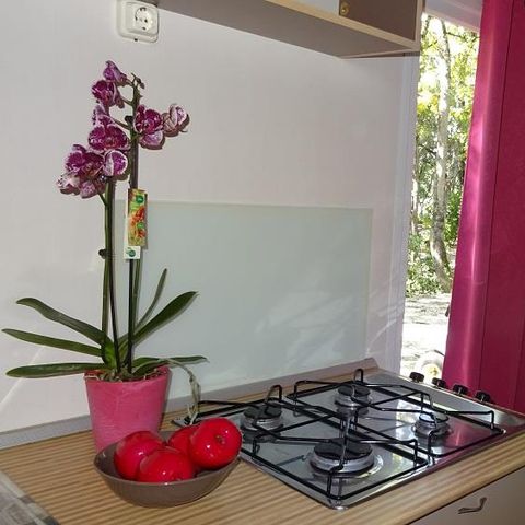 Cliquez pour découvrir toutes les photos de l'HÉBERGEMENT ! bungalow - Flower Les Truffières photo 2