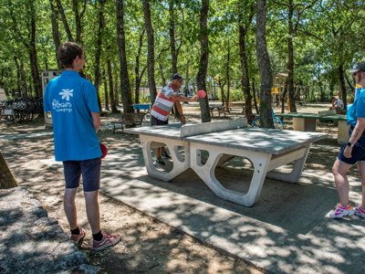 Cliquez pour découvrir toutes les photos de l'ÉTABLISSEMENT ! camping Flower Les Truffières photo 15