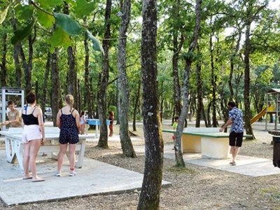 Cliquez pour découvrir toutes les photos de l'ÉTABLISSEMENT ! camping Flower Les Truffières photo 23