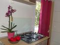 Cliquez pour découvrir toutes les photos de l'HÉBERGEMENT ! bungalow - établissement Flower Les Truffières photo 2