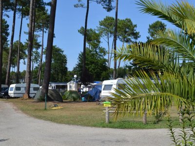 camping Les Echasses photo 8