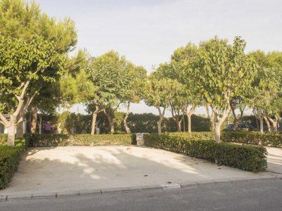 camping Alannia Guardamar photo 30