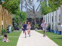 camping Alannia Guardamar photo 2