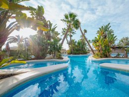 Camping Pas Cher vous présente avec son site Officiel campingpascher.fr, le Camping Alannia Guardamar classé 5 étoiles, situé sur la commune de Guardamar Del Segura dans le département Alicante (Valencia) en Espagne. Le camping Alannia Guardamar, vous présente un hébergement de type bungalow de 30 m² avec climatisation et télévision. Le camping Alannia Guardamar vous propose du lundi 12 octobre au lundi 19 octobre 2026 pour 7 nuits à 522.06€. Cette location propose 89 dates différentes pour réserver votre séjour. Découvrez également les 5 autres gammes d'hébergements du camping. Les Avis clients pour le Camping Alannia Guardamar sont excellents avec une note moyenne de 8 sur 10. Piscine couverte, Piscine extérieure, Animations familiales, Club enfants, Aire de jeux enfants, Salle de fitness, Salle de jeux vidéo, Bar, Restaurant, Snack/Bar, Supermarché,... En savoir plus : cliquez-ICI.