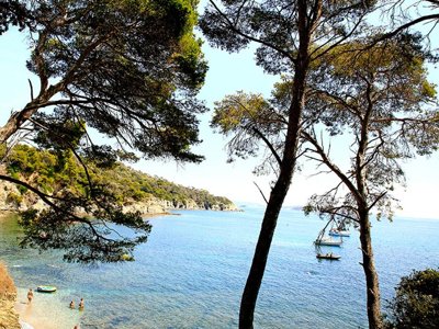 camping L'Ile D'Or photo 15