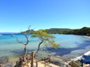 camping L'Ile D'Or photo 2