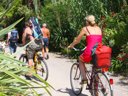 camping L'Ile D'Or photo 6