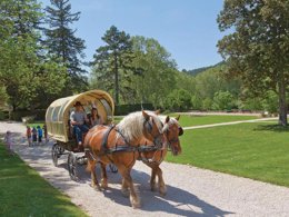 Camping Pas Cher vous présente avec son site Officiel campingpascher.fr, le Camping Domaine Château Laval classé 3 étoiles, situé sur la commune de Greoux Les Bains dans le département Alpes-de-haute-provence (Provence Alpes Côte D'azur) en France. Le camping Domaine Château Laval, vous présente un hébergement de type chambre de 20 m² pour 1 personne et télévision. Le camping Domaine Château Laval vous proposeun séjour PAS CHER avec une REMISEdu mardi 23 juin au mardi 30 juin 2026, en promotion à -44% pour 7 nuits à 473,90 € au lieu de 846,25 € soit une Économie de 372,35 €. Cette location propose 114 dates différentes pour réserver votre séjour. Découvrez également les 5 autres gammes d'hébergements du camping. Les Avis clients pour le Camping Domaine Château Laval sont de 7 sur 10. Piscine couverte, Piscine extérieure, Animation ados, Club enfants, Aire de jeux enfants, Canoë-kayak, Centre équestre, Court de tennis, Cyclisme, Pétanque, Randonnée, Salle de fitness, Terrain de volley-ball, Terrain multisports, Tir à l’arc, Voile, Bar, Restaurant,... En savoir plus : cliquez-ICI.