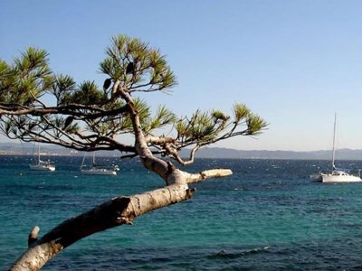 camping Tikayan Domaine Du Golfe De Saint Tropez photo 26