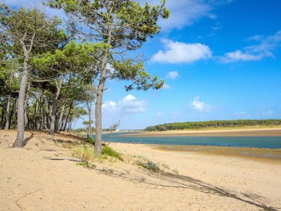 Cliquez pour découvrir toutes les photos de l'ÉTABLISSEMENT ! établissement De La Vertonne photo 10